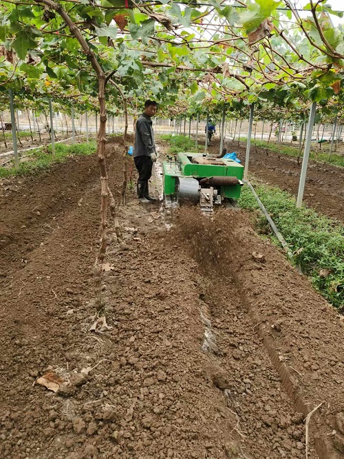 臺州農(nóng)資 臺州農(nóng)資